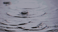 POV: вода — це 70–80% твого тіла. Молекула життя 💧