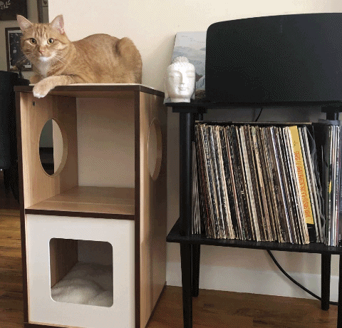 backpack blackfriday