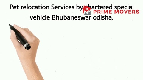 Pet transport service bhubaneswar