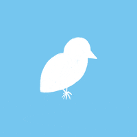 POV: птах підкорив небо завдяки пір’ю й крилам 🐦
