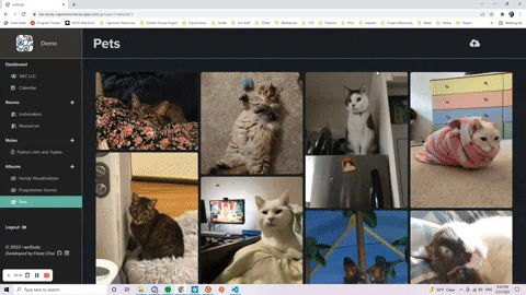 album images feature
