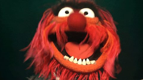 Image result for muppets gif
