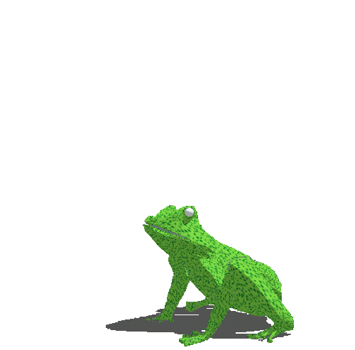 giphy.gif
