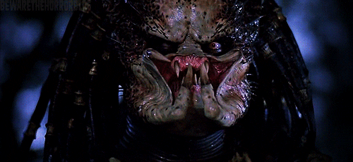 predator movies alien attack jaws