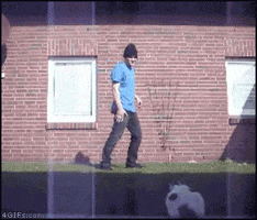 external_gif