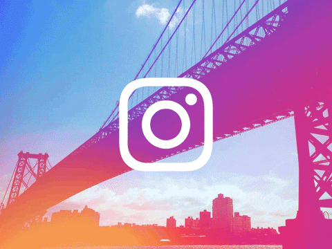 Animated Gifs Instagram - How To Upload Animated Gifs To Instagram ...