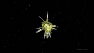 httpsmediagiphycommedia105CqITfkpaiQwgiphygif