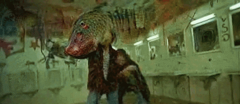 source.gif