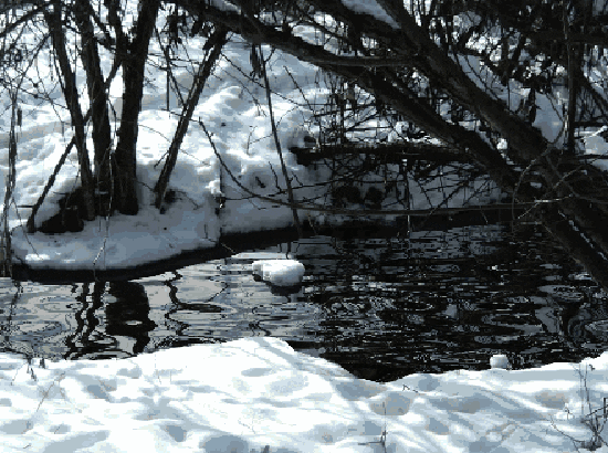 Related image