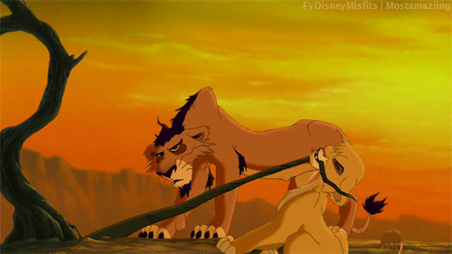 Image result for lion king gifs