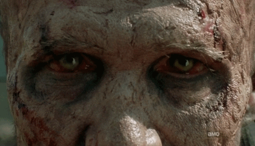Risultati immagini per the walking dead 3x15 gif