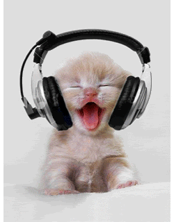 headphones cat cute