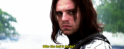 Image result for bucky gif