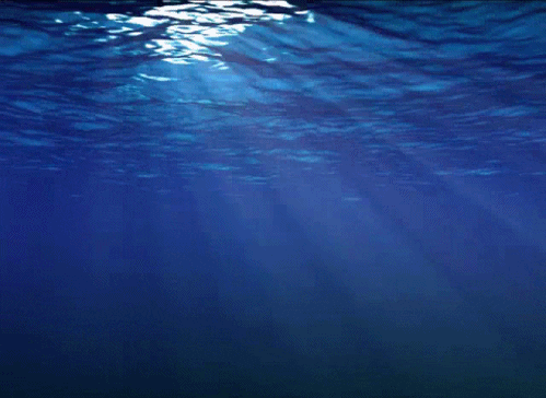 Underwater GIF - Find & Share on GIPHY
