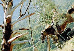 download return to snowy river movie