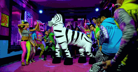 party rockers in the house tonight zebra