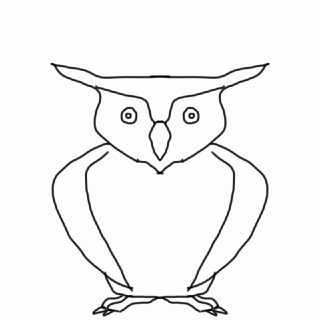 cat black and white animals loop owl