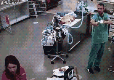 Veterinarian GIF - Find & Share on GIPHY