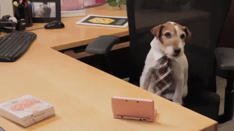 GIF of a dog wearing a tie barking at office desk, sitting in rolling desk chair
