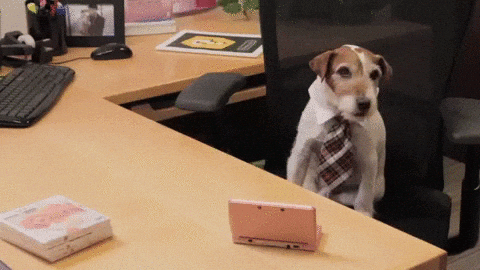 Office Working GIF