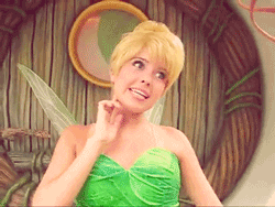 disney disneyland tinkerbell disney world walt disney world