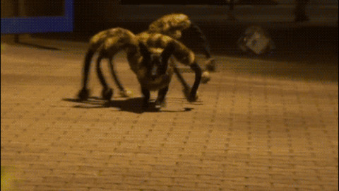 Spider Attack best Gif