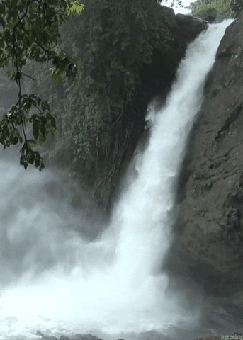 Waterfall GIF - Find & Share on GIPHY