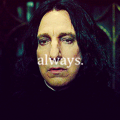 Alan Rickman Snape Always GIF - Find & Share on GIPHY