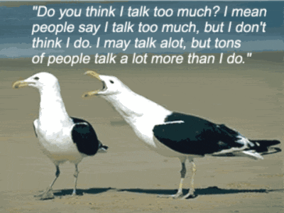 Two birds talking