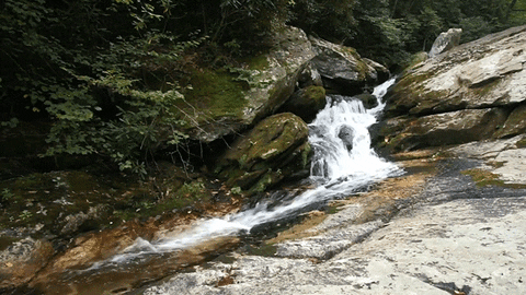Jerology nature beauty cinemagraph autumn