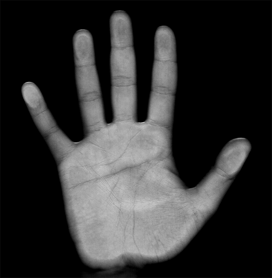 Hand Scan GIF Find & Share on GIPHY