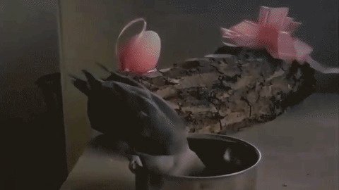 That's Mine best Gif