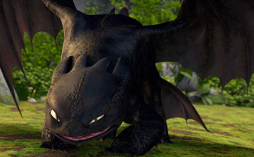 Httyd GIF - Find & Share on GIPHY
