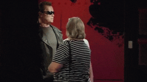 arnold schwarzenegger screw your dom gif