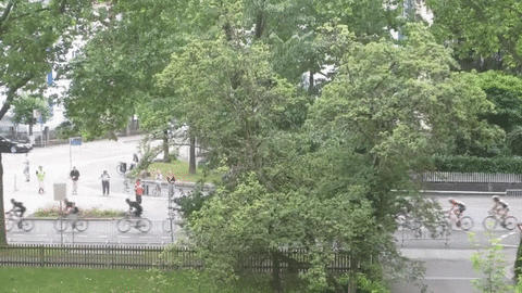 Race Bicycle GIF - Find & Share on GIPHY