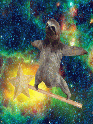 Sloths GIF - Find & Share on GIPHY