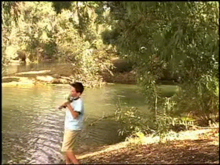 Lure GIFs Find & Share on GIPHY