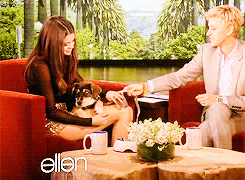 Selena Gomez, a Quinceanera couple and a dog sitting on a couch