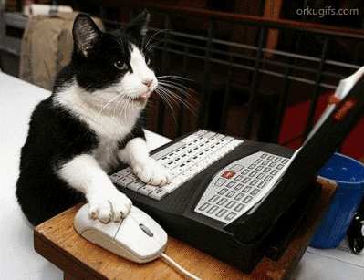 GIF of tuxedo cat using a laptop, moving the mouse with his paw, with his tongue out.