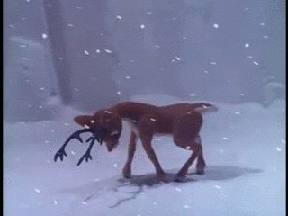 Rudolph The Red Nosed Reindeer Christmas GIF - Find & Share on GIPHY