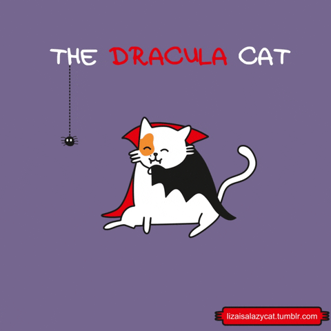 Dracula Cat GIFs Get The Best GIF On GIPHY