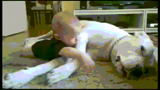 giphy.gif