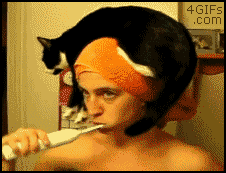 Bathroom Toothpaste GIF - Find & Share on GIPHY