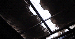 the maze runner animated GIF