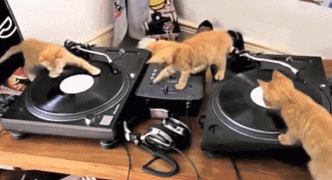 Dj GIF - Find & Share on GIPHY