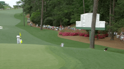 Jordan Spieth GIF - Find & Share on GIPHY