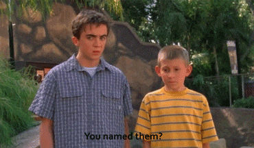 Malcolm In The Middle Television GIF - Find & Share on GIPHY