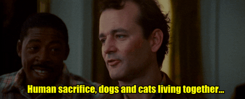 Image result for bill murray ghostbusters quote dogs and cats gif