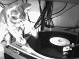Chat DJ
