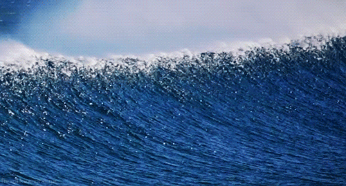 Pacific Ocean GIF by Head Like an Orange Find Share on 